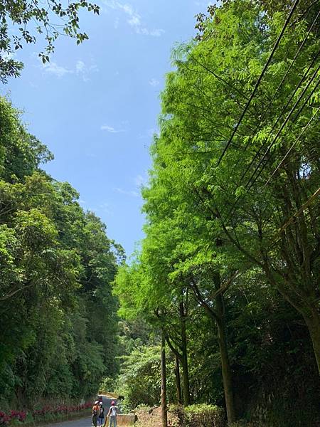 109.05.16「夢幻景點～千島湖ㄧ日遊」_200522_0053.jpg