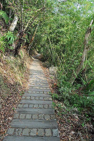 109.05.16「夢幻景點～千島湖ㄧ日遊」_200522_0208.jpg