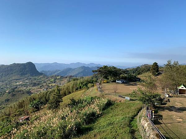 108.11.17來趣貓貍～賞杭菊·挖薑麻·竹林秘境_191117_0022.jpg