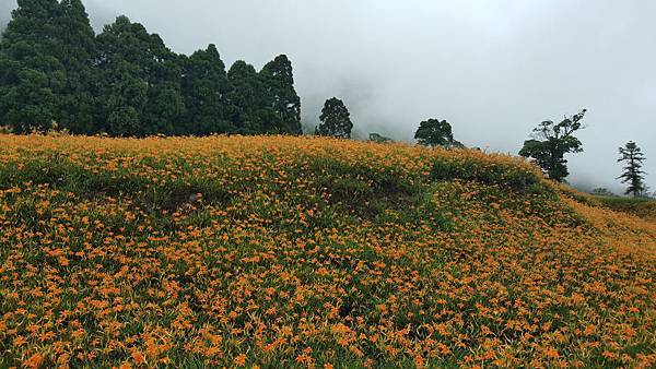 107.08.25花蓮樂活忘憂之旅_180826_0267.jpg