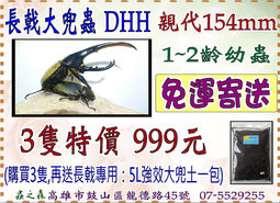 D.h.h)親代♂154mm幼蟲3隻一組特價 $999 (免運寄送)再送強效土