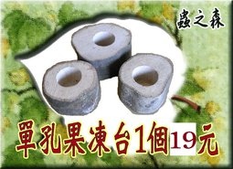 甲蟲《單孔-果凍台》~(昆蟲與小動物們食物的家哦!) $19