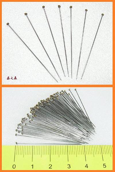 蟲之森甲蟲 昆蟲針 標本針 獨角仙 甲蟲 蝴蝶 標本製作 7種型號的尺寸 00 5號 蟲之森 痞客邦