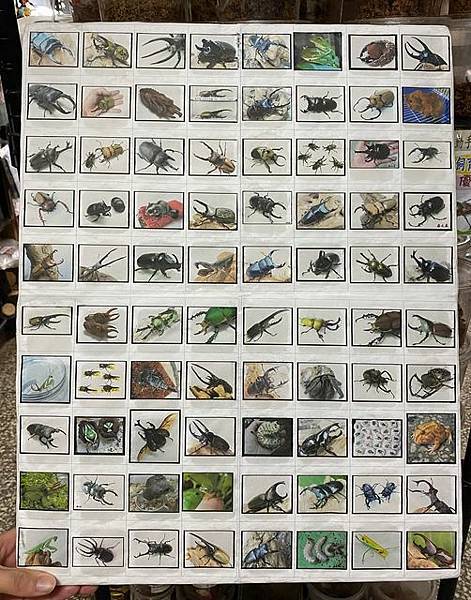 111_0807(日) 童年洞洞樂遊戲規則 111_0807(日) 童年洞洞樂遊戲規則