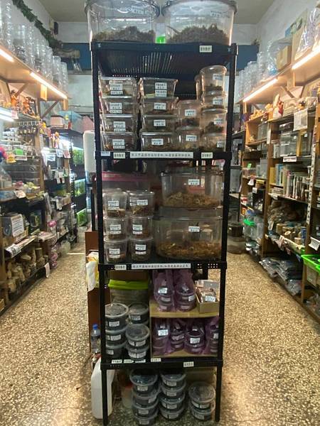 111.8.7 會員-童年洞洞樂,80個獎品已準備完成!