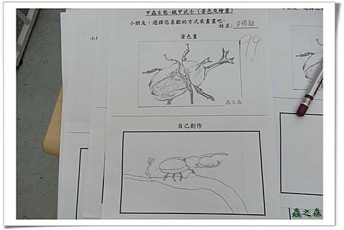 蟲之森~小小畫家.甲蟲著色及繪畫創作~