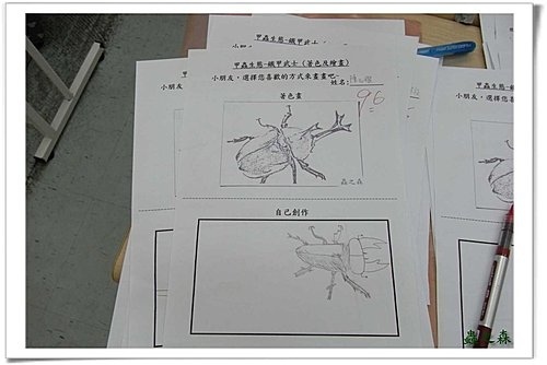 蟲之森~小小畫家.甲蟲著色及繪畫創作~