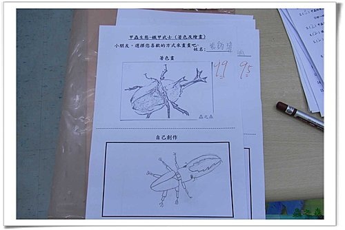 蟲之森~小小畫家.甲蟲著色及繪畫創作~