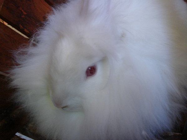 DSC03729.JPG