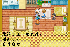 牧場物語gba(繁中)_31