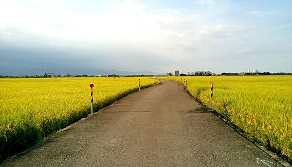 IMAG3659 - 複製.jpg IMAG3659 - 複製.jpg