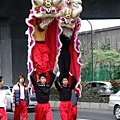 三重昭安宮--醒獅