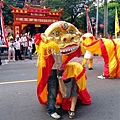 牛埔仔金獅團--舞獅