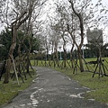 20110127356.jpg