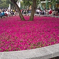 201104071131.jpg