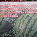 201104141339.jpg