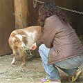 還有兒童動物園區 可以餵食動物