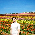 Carlsbad Flower Fields_28.jpg