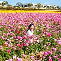 Carlsbad Flower Fields_29.jpg