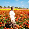 Carlsbad Flower Fields_40.jpg