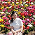 Carlsbad Flower Fields_04.jpg