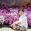 Carlsbad Flower Fields_06.jpg