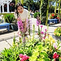 Carlsbad Flower Fields_08.jpg