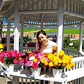 Carlsbad Flower Fields_09.jpg