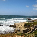 La Jolla Cove 2.JPG