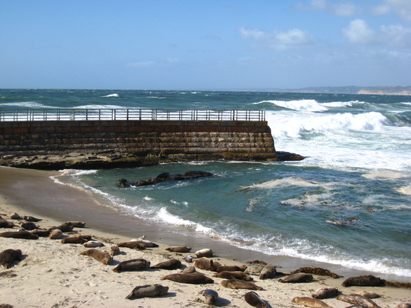 La Jolla Cove 9.JPG