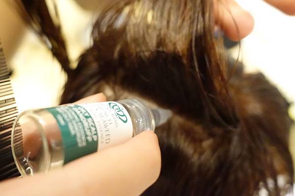 雅根摩洛哥ARGAN KING 海洋巨藻 控油洗髮精 健髮安瓶