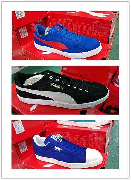 puma_副本.jpg