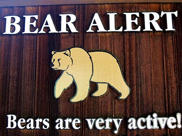 Bear alert