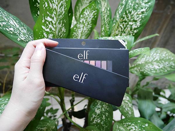 P1000600.JPG P1000600.JPG