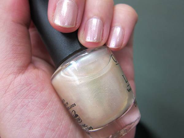 IMG_8482 IMG_8482