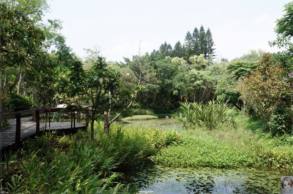 士林官邸：[閃點]台北 士林官邸~好花好樹好放閃