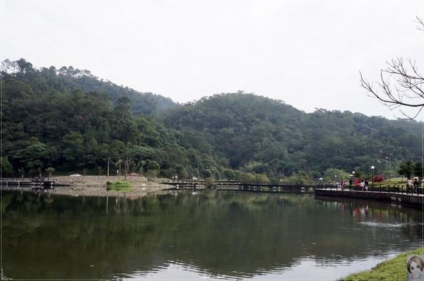 金車蘭花園(員山園)：宜蘭  員山龍潭埤＆金車蘭花園~我與仙人掌的約會