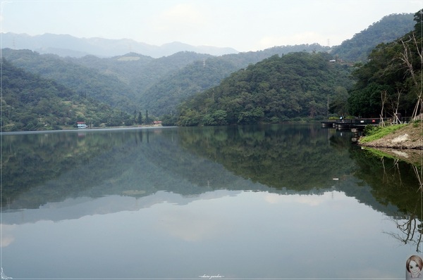 金車蘭花園(員山園)：宜蘭  員山龍潭埤＆金車蘭花園~我與仙人掌的約會