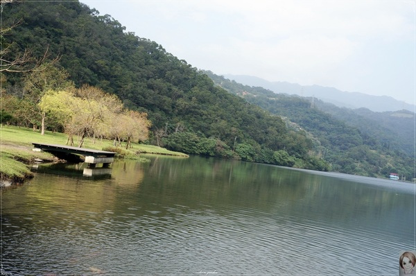 金車蘭花園(員山園)：宜蘭  員山龍潭埤＆金車蘭花園~我與仙人掌的約會