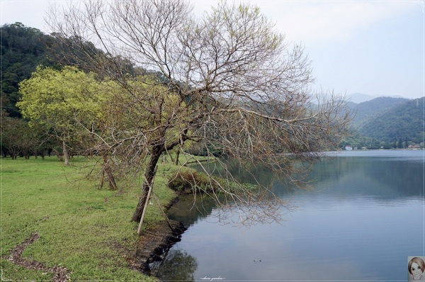 金車蘭花園(員山園)：宜蘭  員山龍潭埤＆金車蘭花園~我與仙人掌的約會