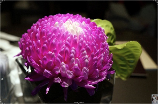 泰集 Thai Bazaar:台北 捷運忠孝復興 泰集-Thai-Bazaar~心中的前幾名泰式生蝦料理! 泰集 Thai Bazaar:台北 捷運忠孝復興 泰集-Thai-Bazaar~心中的前幾名泰式生蝦料理!