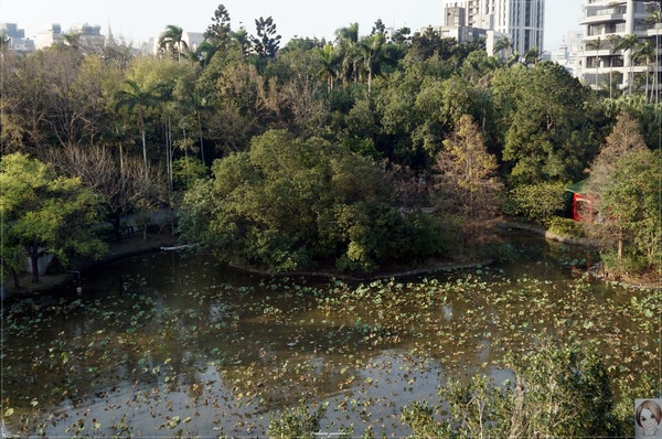 CUTTY  SARK卡提撒克：台北 捷運中正紀念堂站 CUTTY  SARK卡提撒克~來這，植物園美景收眼底