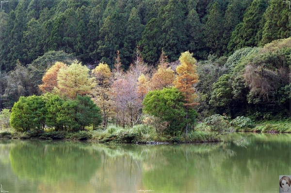 明池國家森林遊樂區：[攝影小旅行]宜蘭 明池~深山仙境迎曙光