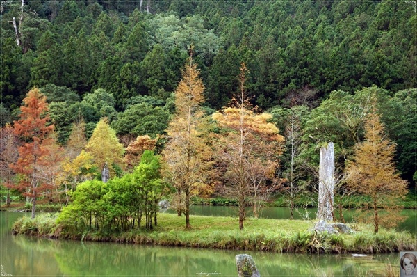 攝影小旅行]宜蘭明池~深山仙境迎曙光@ clairegarden :: 痞客邦::