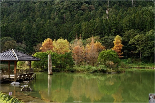 明池國家森林遊樂區：[攝影小旅行]宜蘭 明池~深山仙境迎曙光