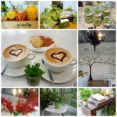 AGRIOZ Cafe':宜蘭 AGRIOZ咖啡館~發現無敵美拍照角落 AGRIOZ Cafe':宜蘭 AGRIOZ咖啡館~發現無敵美拍照角落