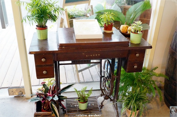AGRIOZ Cafe':宜蘭 AGRIOZ咖啡館~發現無敵美拍照角落 AGRIOZ Cafe':宜蘭 AGRIOZ咖啡館~發現無敵美拍照角落