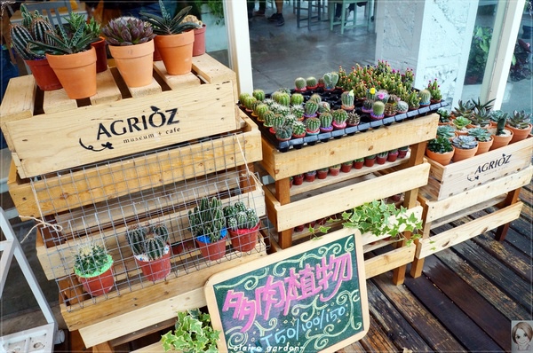 AGRIOZ Cafe':宜蘭 AGRIOZ咖啡館~發現無敵美拍照角落 AGRIOZ Cafe':宜蘭 AGRIOZ咖啡館~發現無敵美拍照角落