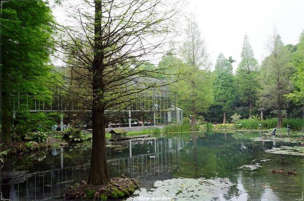 菁芳園 (田尾休閒農場)(Tenway Eco-Leisure Farm)：彰化 菁芳園~迷離夢幻的森林景點