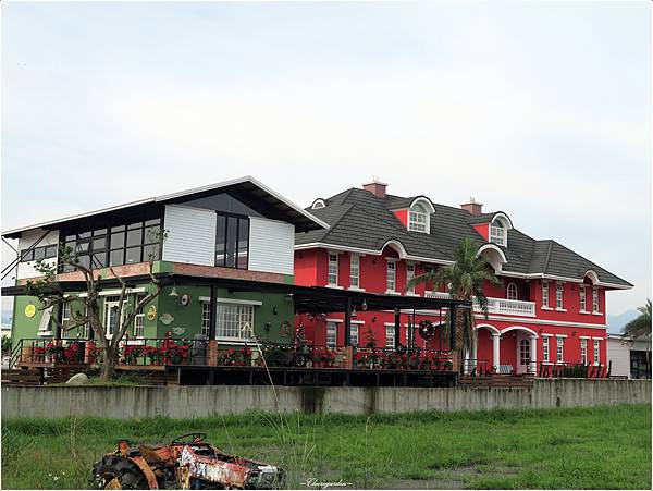 IMG_2446 IMG_2446